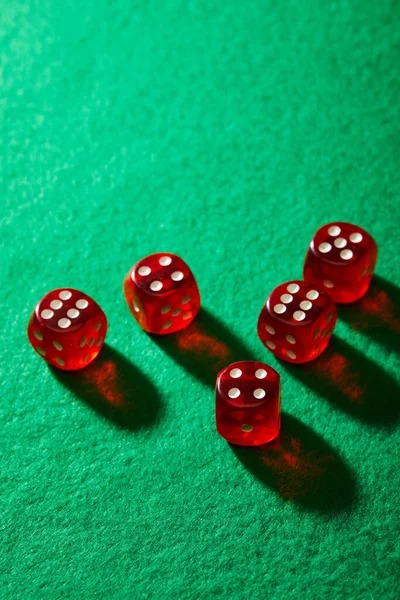Monthly summary and statistics Monthly Paito Harian summary showing total bets and net result